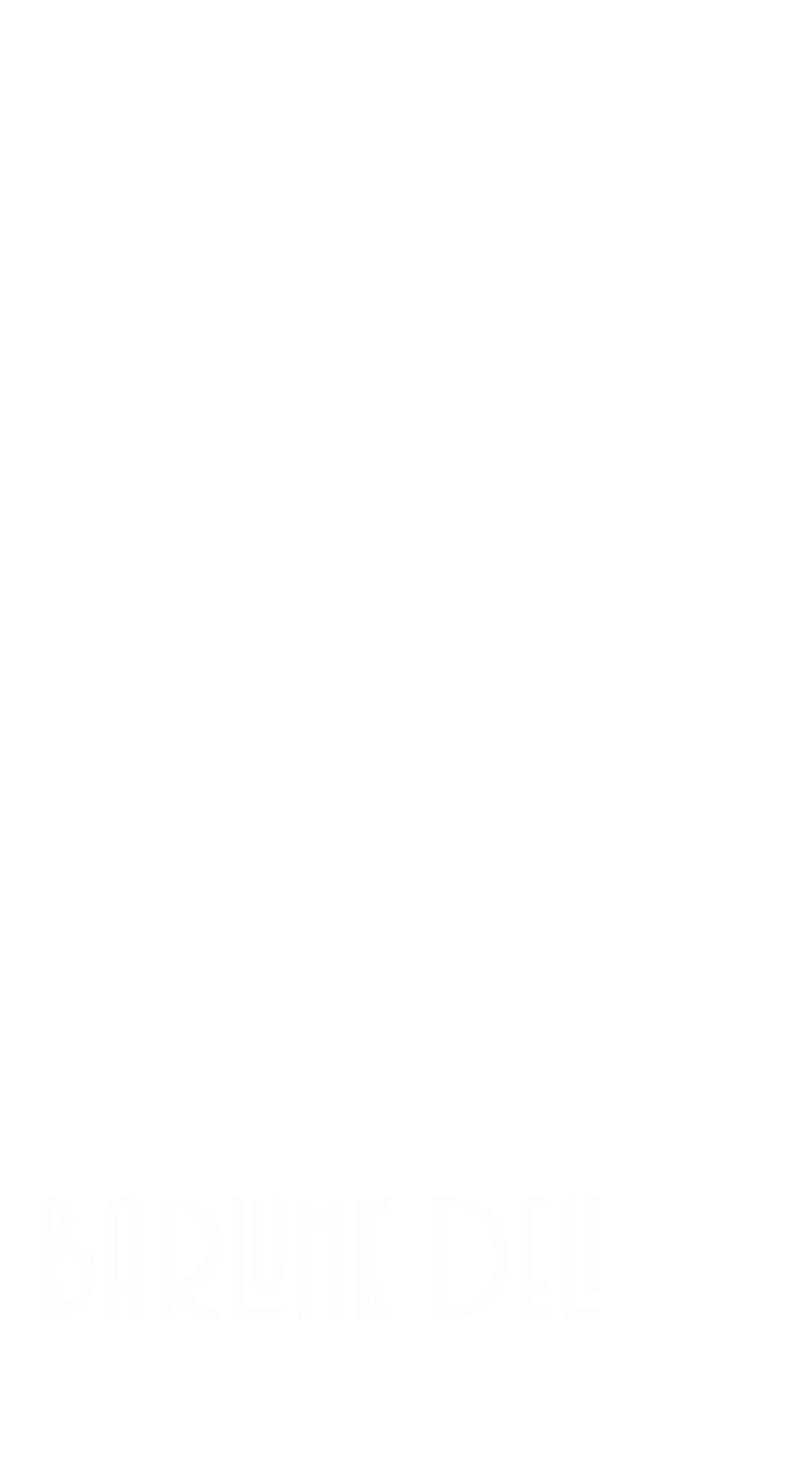 Logo for BarLume Deli